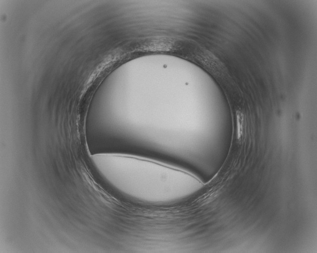 X0000054390300200507290813