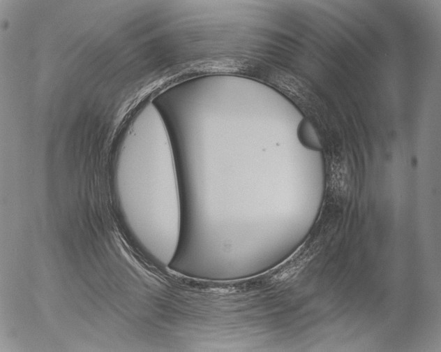 X0000054390302200507290813