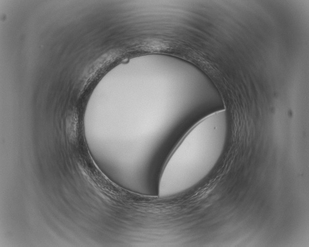 X0000054390304200507290813