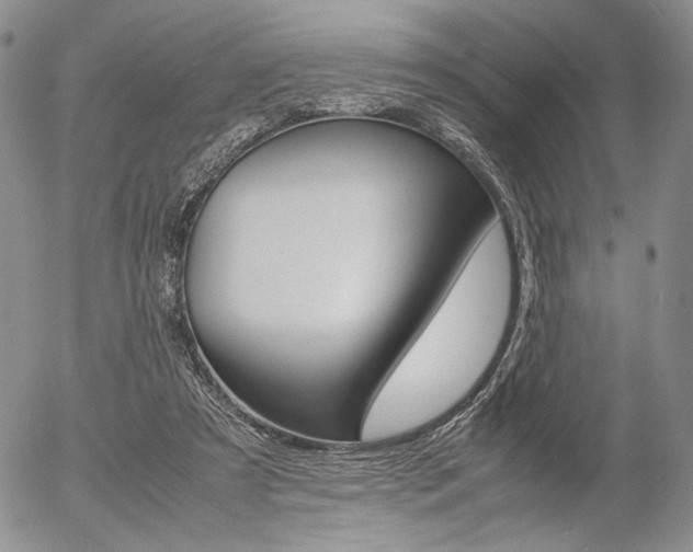 X0000054390305200507290813