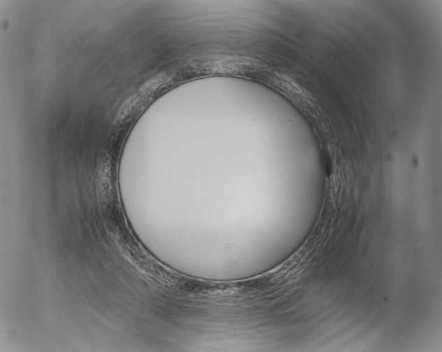 X0000054390306200507290813