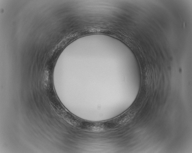 X0000054390308200507290813