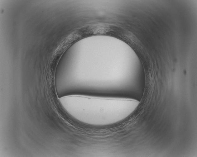 X0000054390311200507290813