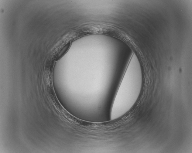 X0000054390313200507290813