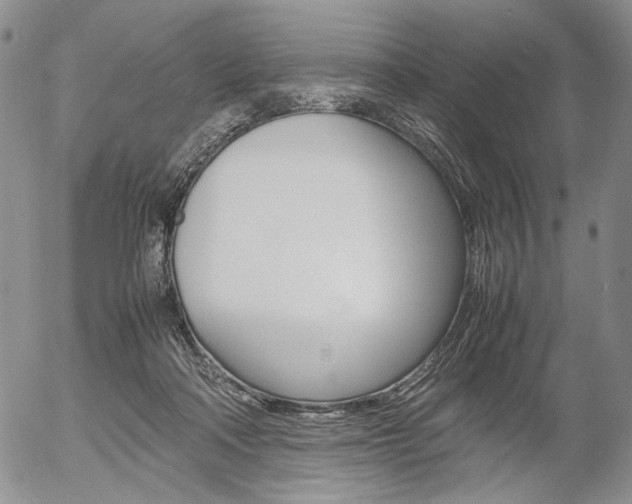 X0000054390314200507290813