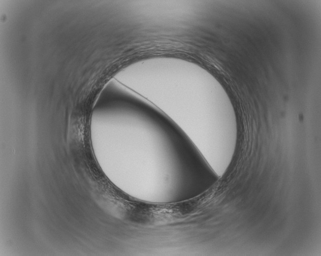 X0000054390315200507290813