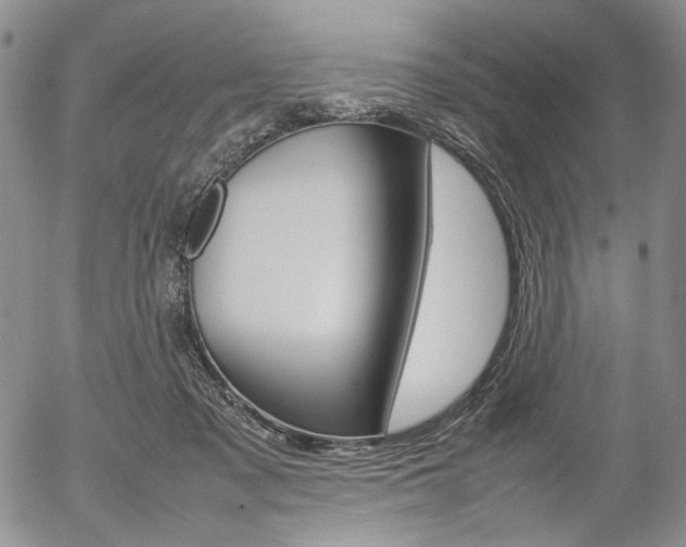 X0000054390317200507290813