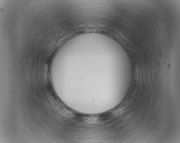 X0000054390318200507290813
