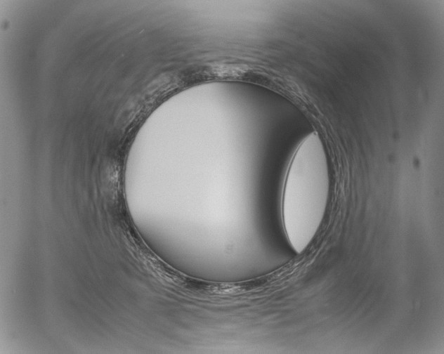 X0000054390321200507290813