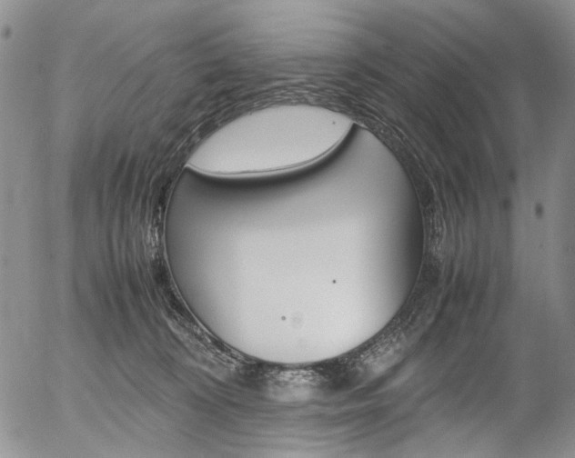 X0000054390324200507290813