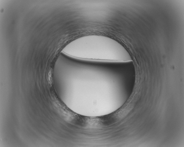 X0000054390336200507290812