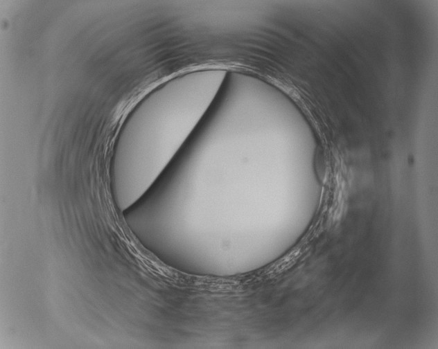 X0000054390337200507290812