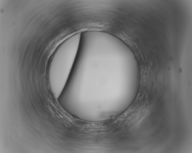 X0000054390338200507290812