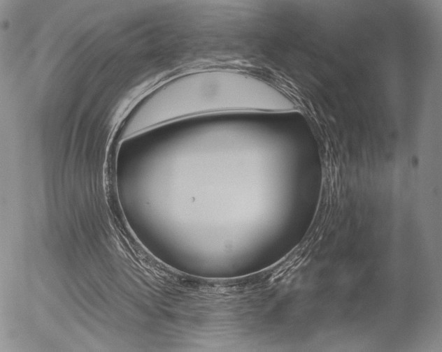 X0000054390340200507290812