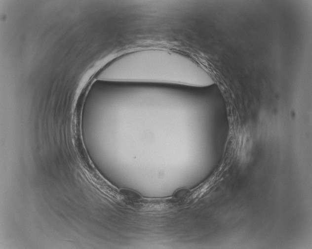 X0000054390342200507290812