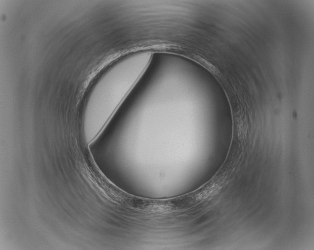 X0000054390350200507290812