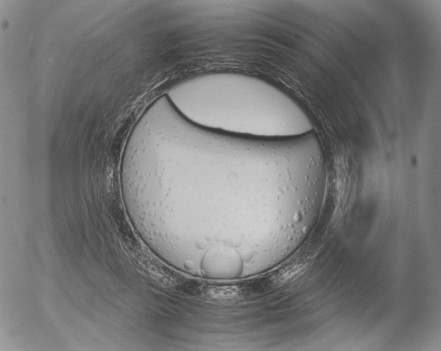 X0000054390355200507290812