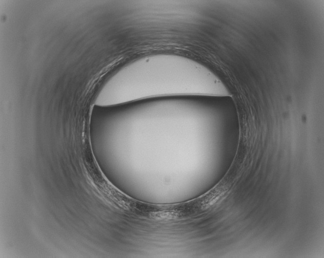 X0000054390356200507290812