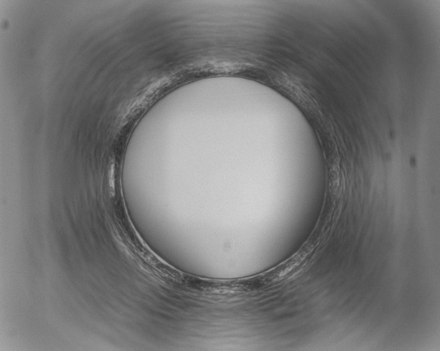 X0000054390358200507290812