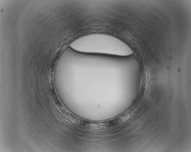 X0000054390367200507290812