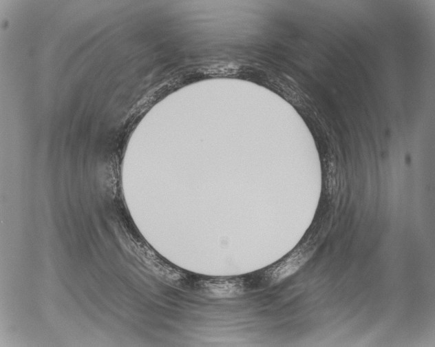 X0000054390370200507290812