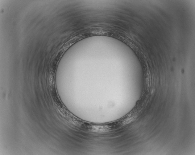 X0000054390371200507290812