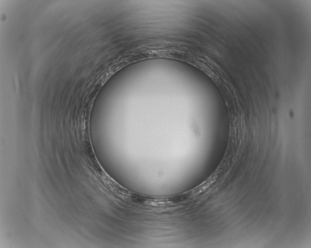 X0000054390372200507290812