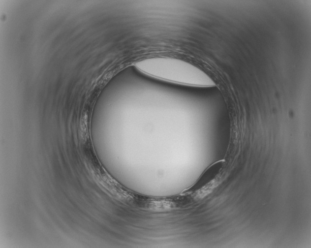 X0000054390376200507290812
