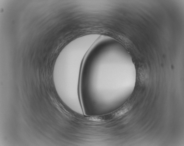 X0000054390380200507290812