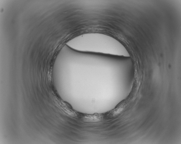 X0000054390381200507290812