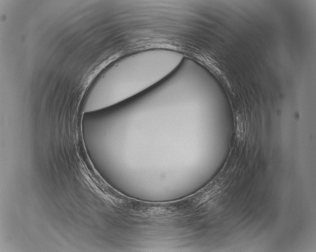 X0000054390390200507290811