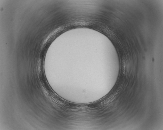 X0000054390396200507290811