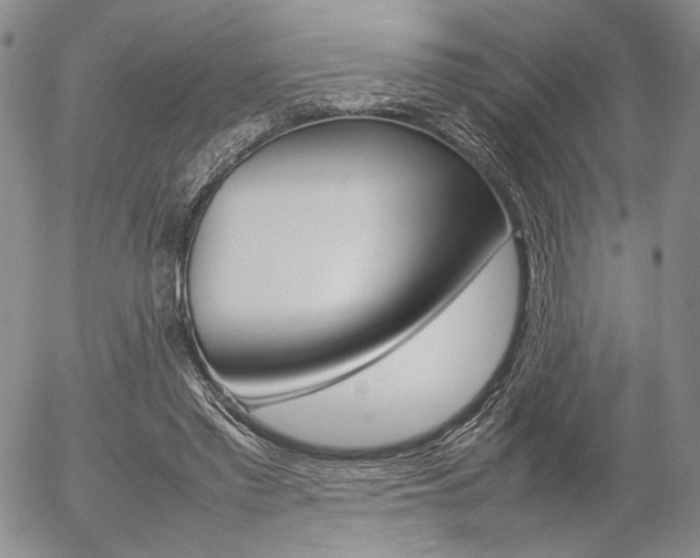 X0000054390397200507290811