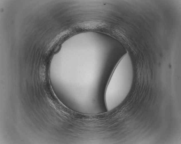 X0000054390400200507290811
