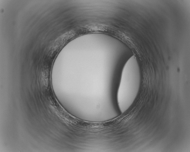 X0000054390402200507290811