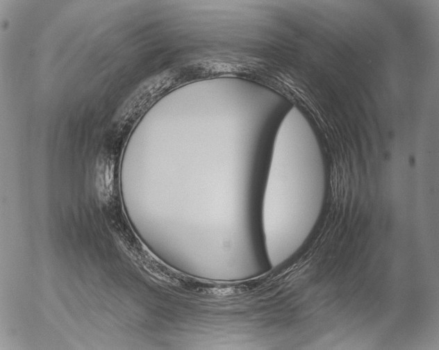 X0000054390406200507290811