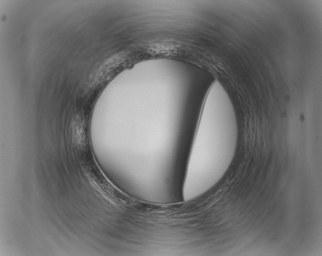 X0000054390408200507290811