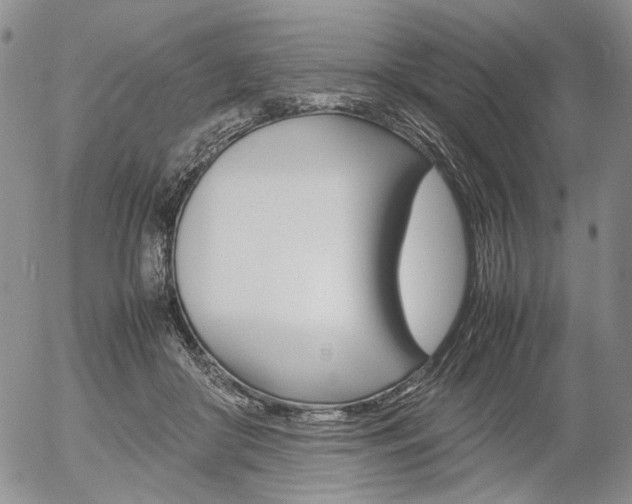 X0000054390410200507290811