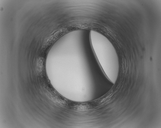 X0000054390412200507290811