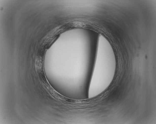X0000054390413200507290811