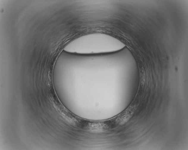 X0000054390414200507290811