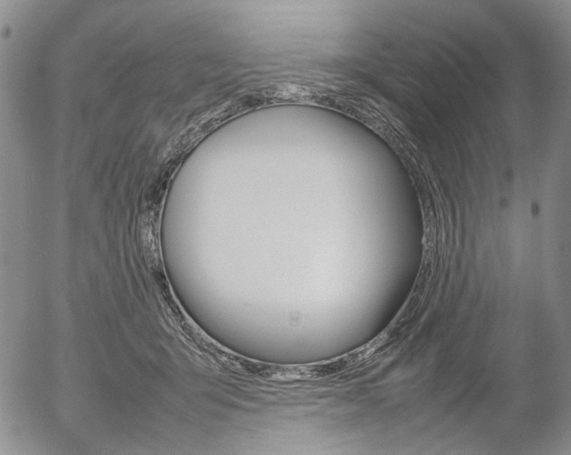 X0000054390415200507290811