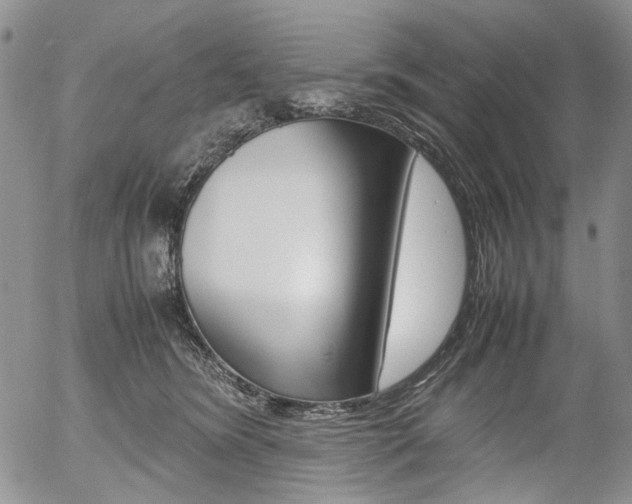 X0000054390420200507290811