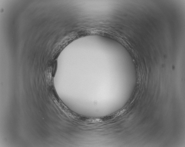 X0000054390427200507290811