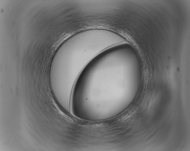 X0000054390433200507290810