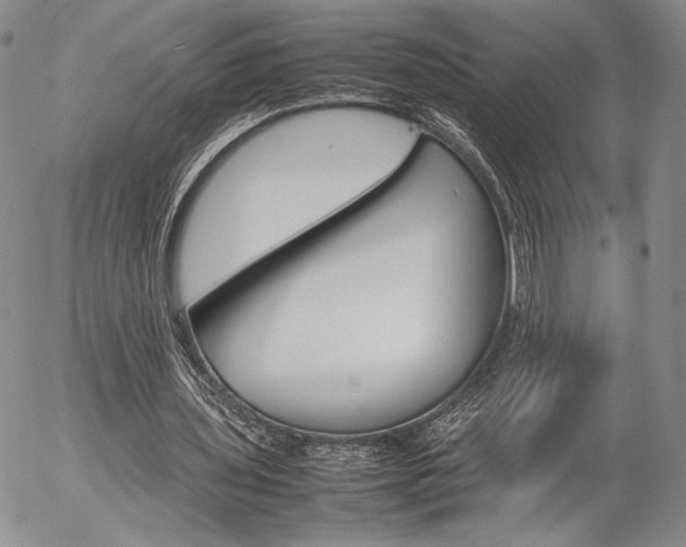 X0000054390435200507290810