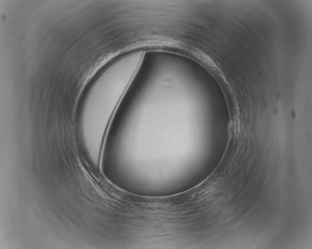 X0000054390436200507290810