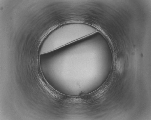 X0000054390437200507290810