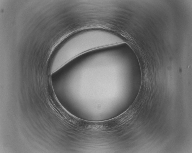 X0000054390440200507290810