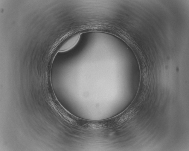 X0000054390442200507290810